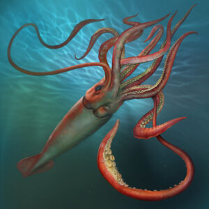 Eldar Zakirov - Giant Squid